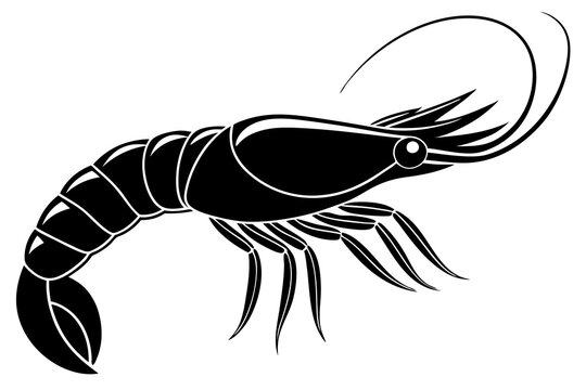 recommend clip art: shrimp vector silhouette, shrimp icon vector, Sea lobster	