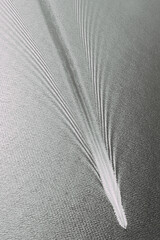 naval wake from aeroplane, soft and gentle 