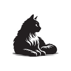 Cat Noir Shadowy Feline Silhouettes