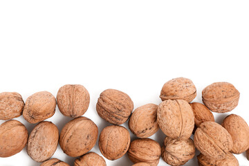 Many tasty walnuts on white background