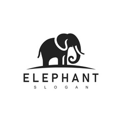 Obraz premium Elephant logo design template Vector icon illustration