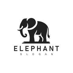 Elephant logo design template Vector icon illustration
