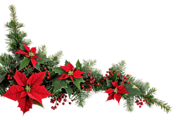 PNG  Christmas corner arrangement christmas flower plant.