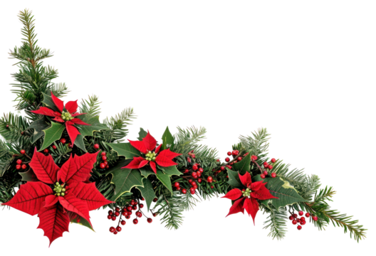 PNG  Christmas corner arrangement christmas flower plant.