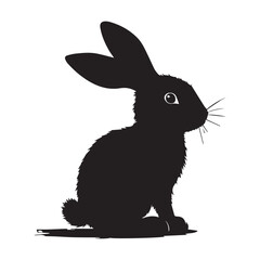 black rabbit isolated on white