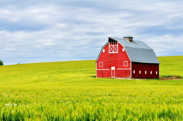 The red barn on Palouse farmland. Washington-USA © Nadia Yong