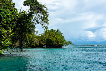 Stunning Tropical Island in Bocas del Toro, Panama with Crystal Clear Caribbean Waters, Lush Green Forest, and Vibrant Coastal Scenery, A Paradise for Nature Lovers and Eco-Tourism Enthusiasts