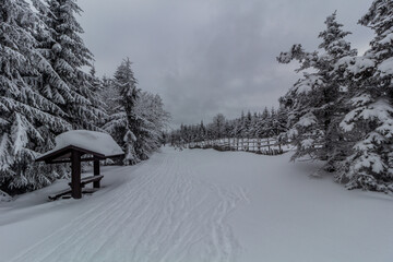 Forest ski trail in Orlicke hory mountains, Czech Republic