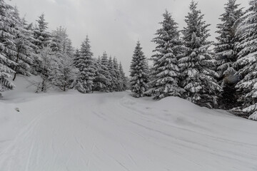 Snow covered road at Mezivrsi in Orlicke hory mountains, Czech Republic