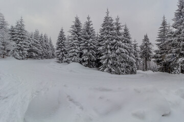 Snow covered road at Mezivrsi in Orlicke hory mountains, Czech Republic