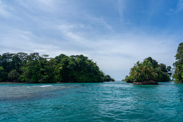 Naklejka premium Stunning Tropical Island in Bocas del Toro, Panama with Crystal Clear Caribbean Waters, Lush Green Forest, and Vibrant Coastal Scenery, A Paradise for Nature Lovers and Eco-Tourism Enthusiasts
