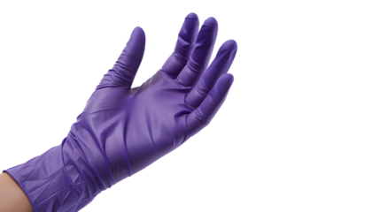 Hands wearing purple nitrile gloves Raised and isolated on transparent background.