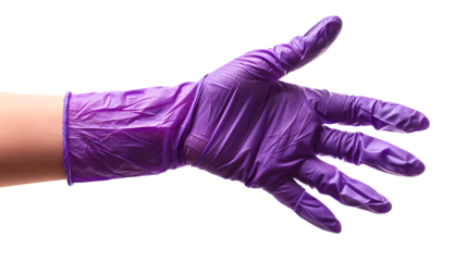 Hands wearing purple nitrile gloves Raised and isolated on transparent background.
