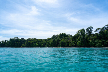 Stunning Tropical Island in Bocas del Toro, Panama with Crystal Clear Caribbean Waters, Lush Green Forest, and Vibrant Coastal Scenery, A Paradise for Nature Lovers and Eco-Tourism Enthusiasts