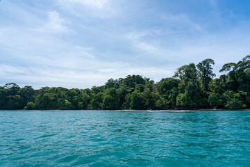 Stunning Tropical Island in Bocas del Toro, Panama with Crystal Clear Caribbean Waters, Lush Green Forest, and Vibrant Coastal Scenery, A Paradise for Nature Lovers and Eco-Tourism Enthusiasts