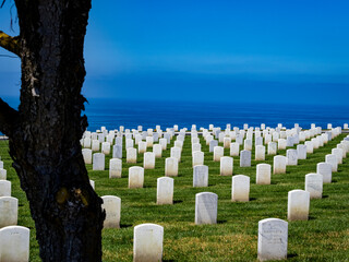 Cemetary off point Loma, one grave has flower while all others do not