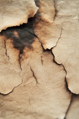 Fototapeta premium A close-up of burnt and charred light brown paper. Paper with charred details and dark, rough burn marks, evoking heat.