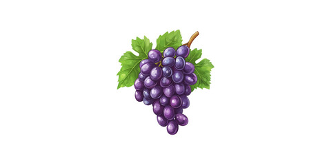Fototapeta premium Juicy purple grapes with vibrant green leaves, showcasing freshness and vitality. image evokes sense of abundance and natural sweetness.