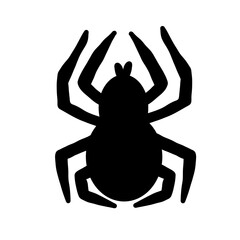 silhouette of a spider