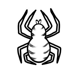 crab spider vector illustration