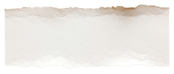 PNG  Paper adhesive strip backgrounds rough white.