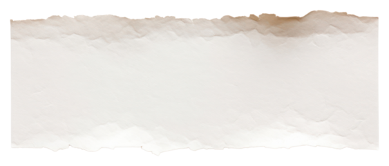 PNG  Paper adhesive strip backgrounds rough white.