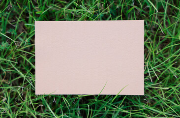 芝生の上のメッセージカード