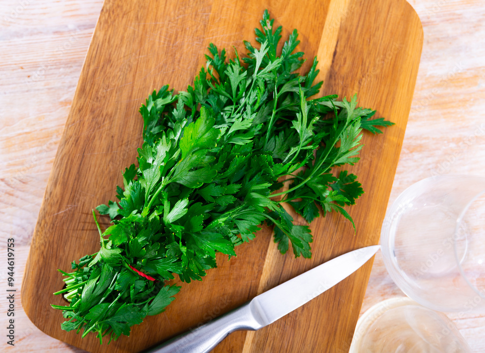 Wall mural bunch of fresh parsley lying on a wooden chopping board. ingredients for cooking..