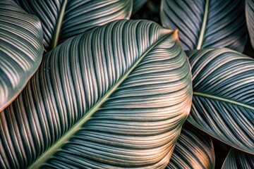 Lush green leaves beautifully layered, capturing the essence of nature's intricate patterns in soft, golden afternoon light in a tranquil garden setting. Generative AI