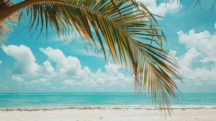 Fototapeta premium A serene tropical beach scene featuring a single palm branch gracefully arching overhead, against a backdrop of clear turquoise waters and white sand, creating a paradise-like view.