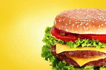 Tasty fresh hamburger bread bun