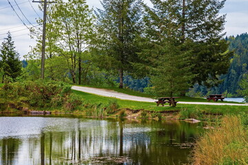 Obraz premium A forest lake in a natural park covered with aquatic plants, a bench for resting on the shore in a recreation area of Howard Lake Park, a green forest and a cloudy sky on the horizon 