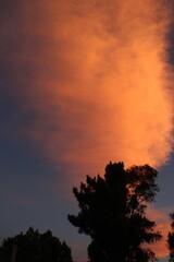 Puesta de sol intensa con árboles en primer plano con un Dramático cielo naranja y rosa al...