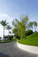 Gardening ideas : Willow trees in modern garden. Garden design