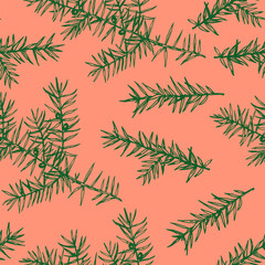 Seamless pattern with juniper branches. Monochrome vector illustration in engraving style.