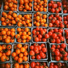 Tomatoes in the farmers market