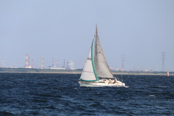 東京湾の風景（横須賀）。ヨット。