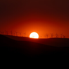 Sunset behind windmill farm.