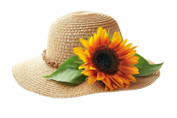 Sunflower on Straw Hat