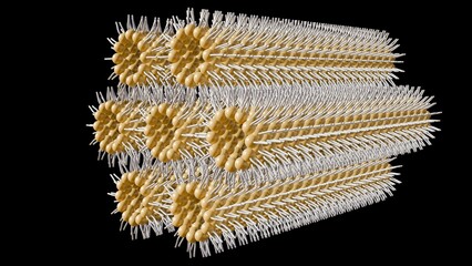 3d rendering of inverse hexagonal phase.  In this phase, long, tubular aggregates form in a hexagonal pattern