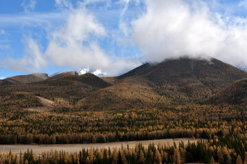Panoramic view of a high mountain overgrown with dense coniferous forest and with a peak in the clouds on a clear autumn day.