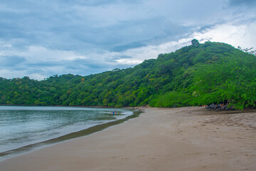 View of the forest from the sea