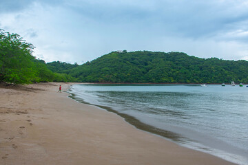 View of the forest from the sea