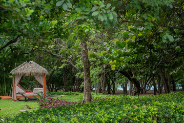 A rest area with trees on the seashore
