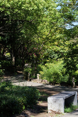 青海南ふ頭公園の風景