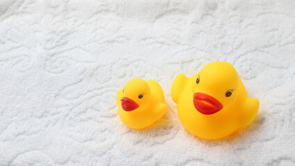 お風呂のアヒル親子片親ひとり親シングルマザーファーザー