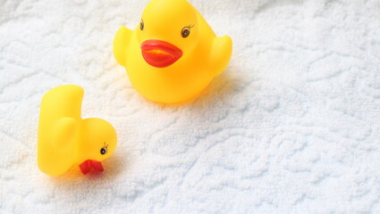 風呂バスで、転倒する子供アヒル、大丈夫と駆け寄るママアヒル