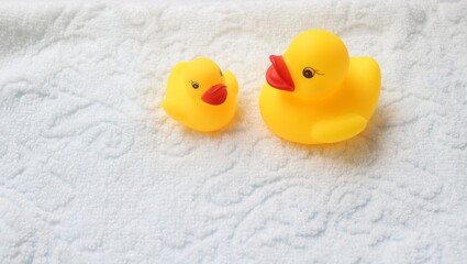 風呂バスのアヒル二匹仲良くお話中親子母子父子ひとり親シングルマザー