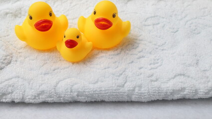 アヒルファミリーパパママベビー風呂温泉仲良し家族余白コピースペース