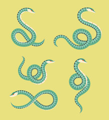 Green snakes illustration set with beautiful wavy scales